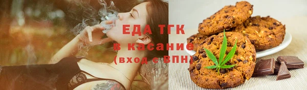 индика Алексин