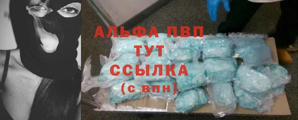 индика Алексин