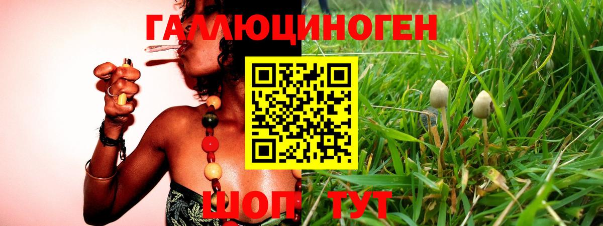 Галлюциногенные грибы Cubensis  как найти наркотики  Ивантеевка  Галлюциногенные грибы Psilocybe  Вход с VPN 